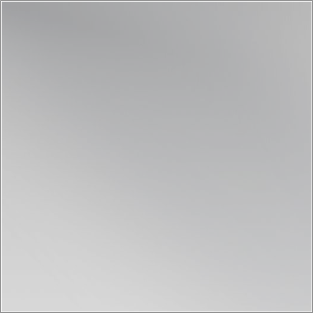 largePlaceholder