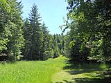 Foothills Road�