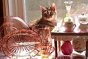 Contented Cat Antiques