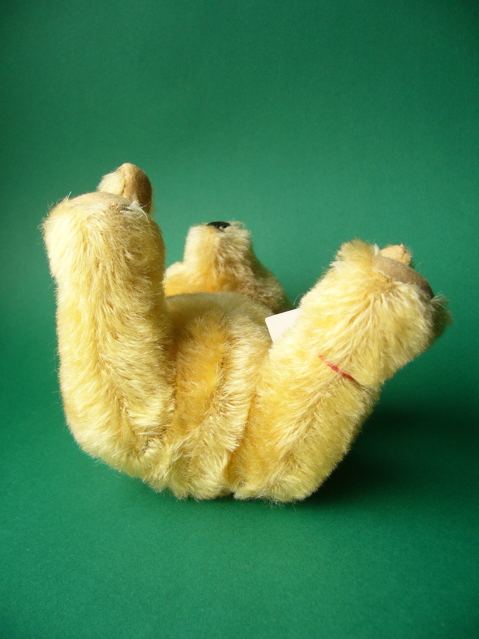 Steiff Bear 1950s 25cms w button Steiff Bear 1950s 25cms w button