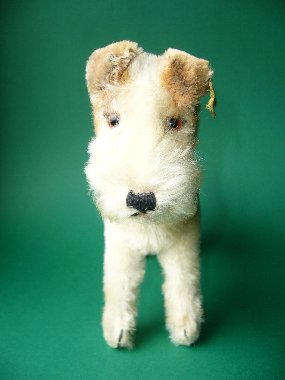 Steiff Foxy Foxterrier 1950s w ID Steiff Foxy Foxterrier 1950s w ID