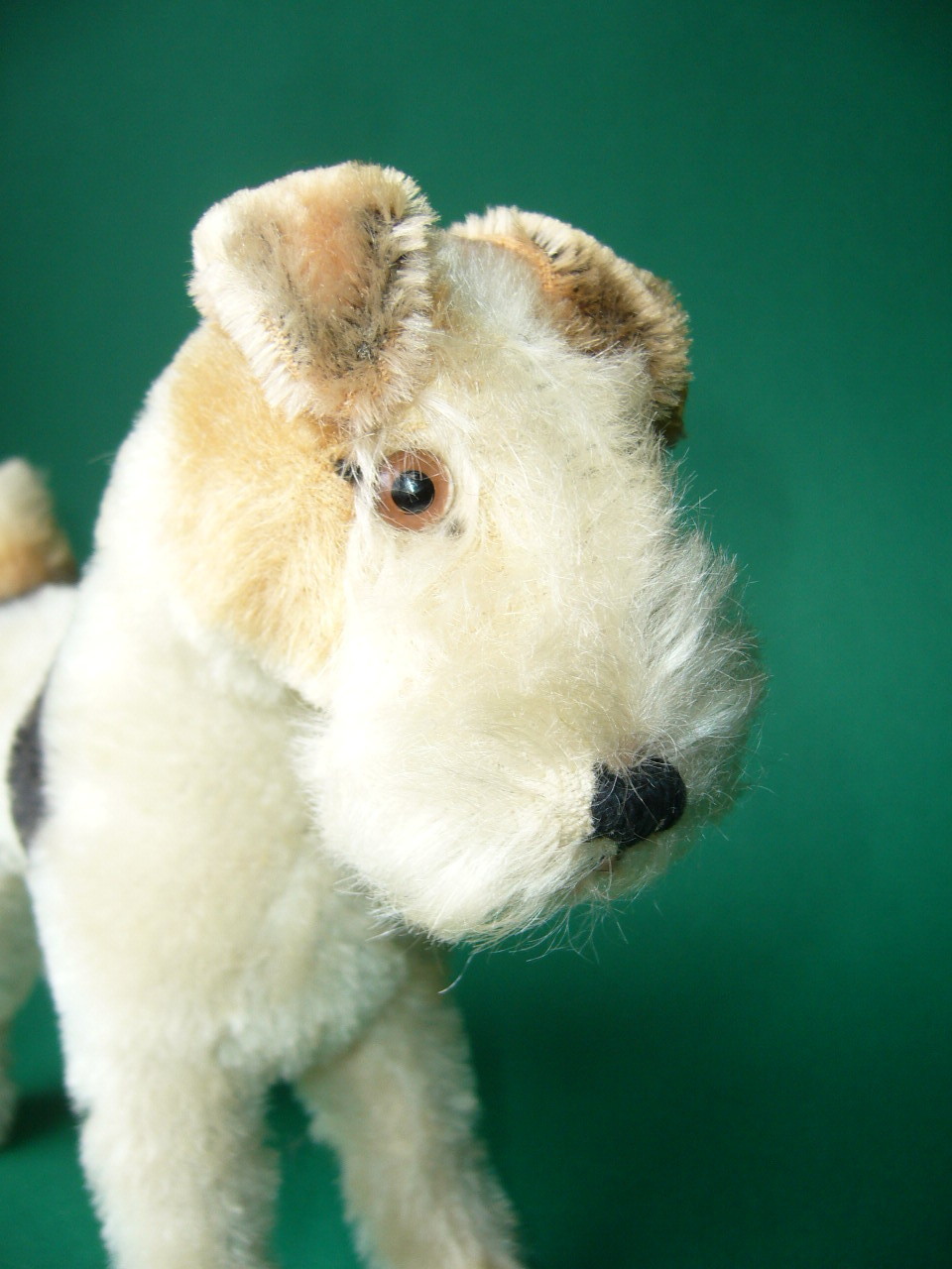 Steiff Foxy Foxterrier 1950s w ID Steiff Foxy Foxterrier 1950s w ID