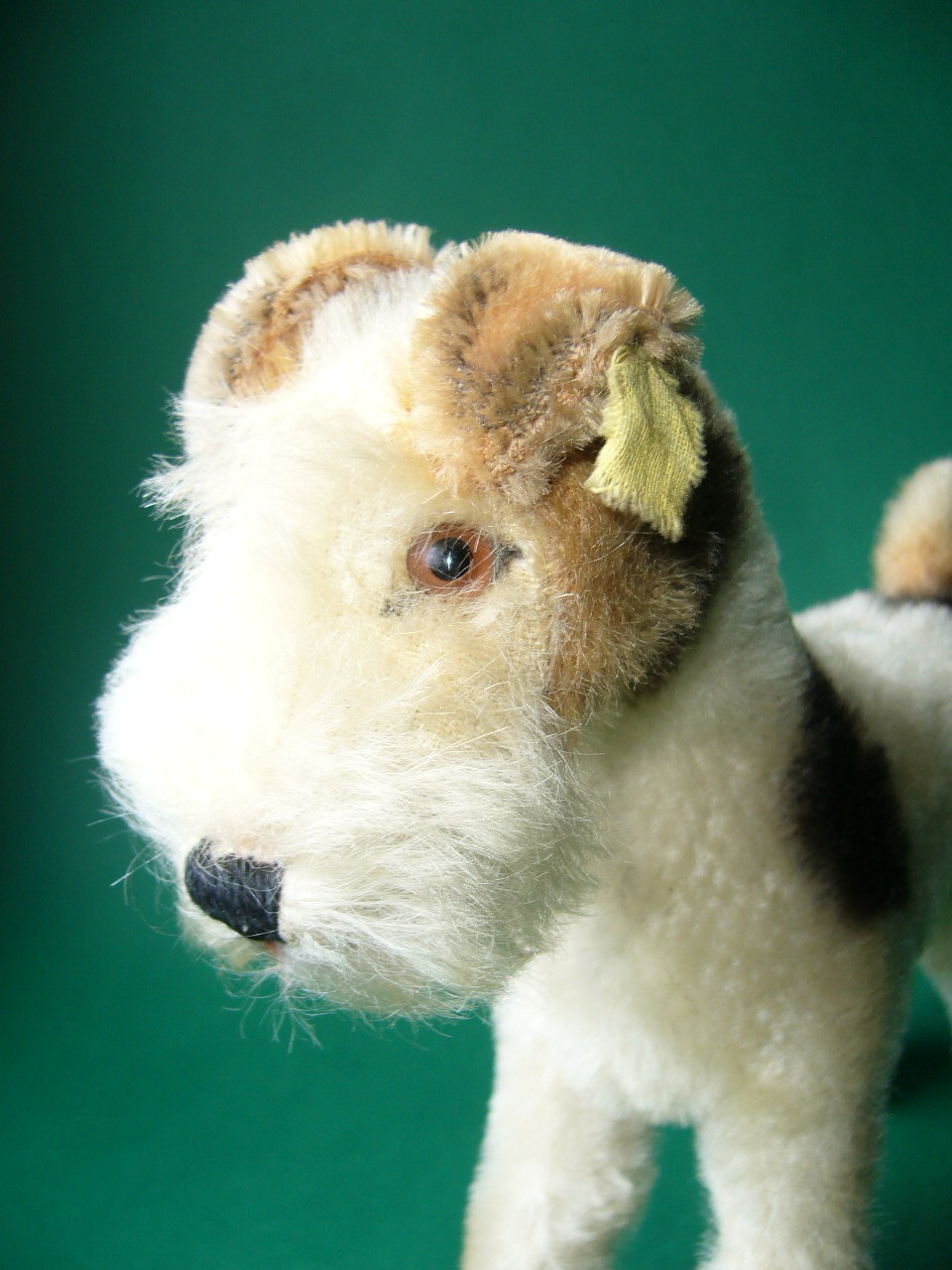 Steiff Foxy Foxterrier 1950s w ID Steiff Foxy Foxterrier 1950s w ID