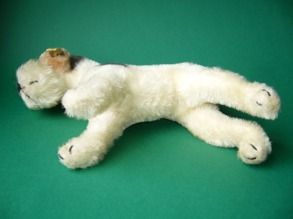 Steiff Foxy Foxterrier 1950s w ID Steiff Foxy Foxterrier 1950s w ID