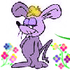Purple Packrat's Nest Purple Packrat's Nest