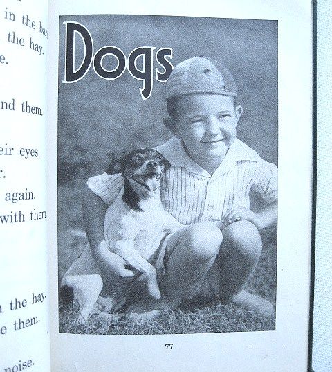 Story Pictures of Farm Animals John Y. Beaty Classic 1934 School Book Story Pictures of Farm Animals John Y. Beaty Classic 1934 School Book