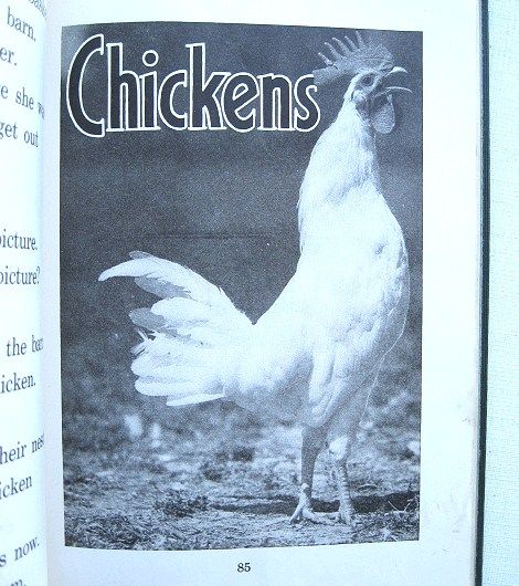 Story Pictures of Farm Animals John Y. Beaty Classic 1934 School Book Story Pictures of Farm Animals John Y. Beaty Classic 1934 School Book