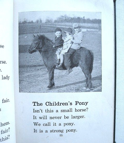 Story Pictures of Farm Animals John Y. Beaty Classic 1934 School Book Story Pictures of Farm Animals John Y. Beaty Classic 1934 School Book