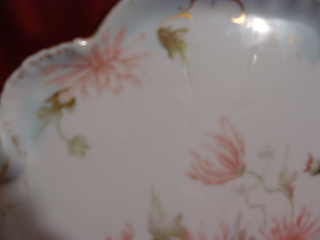 Porcelain hand painted tray Limoges (CFH/GDM) Porcelain hand painted tray Limoges (CFH/GDM)