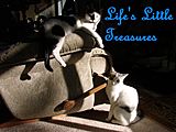 Life's Little Treasures Life's Little Treasures