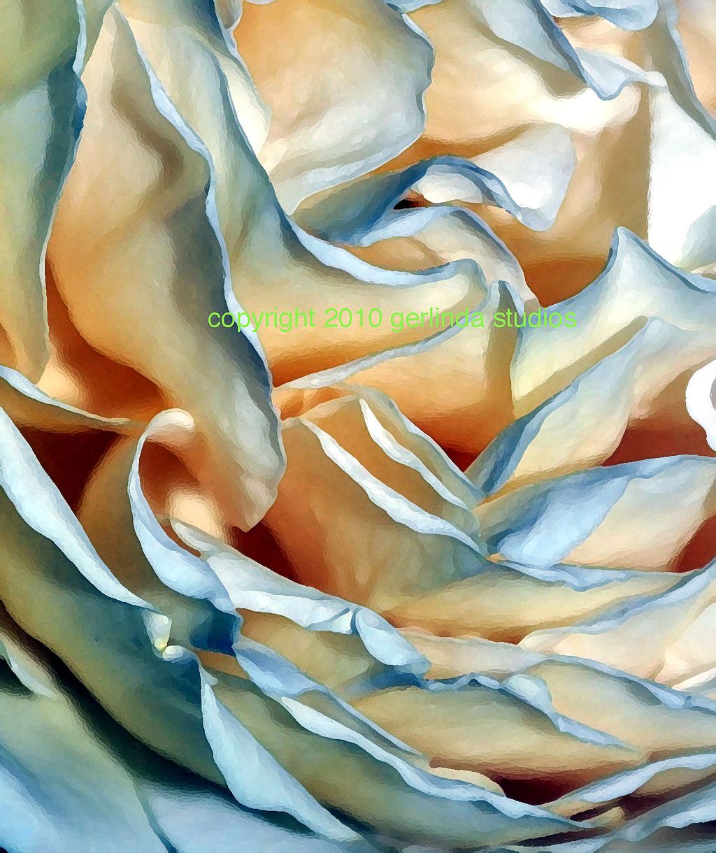 Rose -- Blue, Abstract, Photo Print, Various Sizes Rose -- Blue, Abstract, Photo Print, Various Sizes