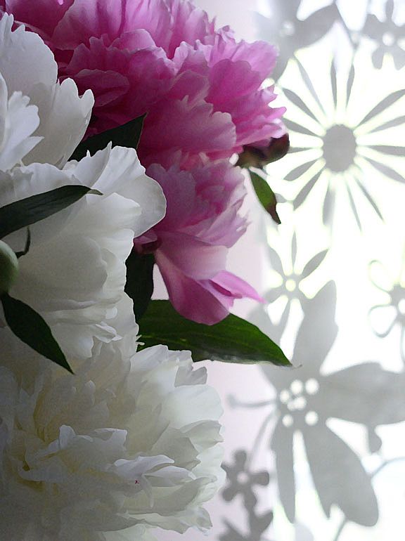 Peonies - Original Photo Art Print 5X7 Peonies - Original Photo Art Print 5X7