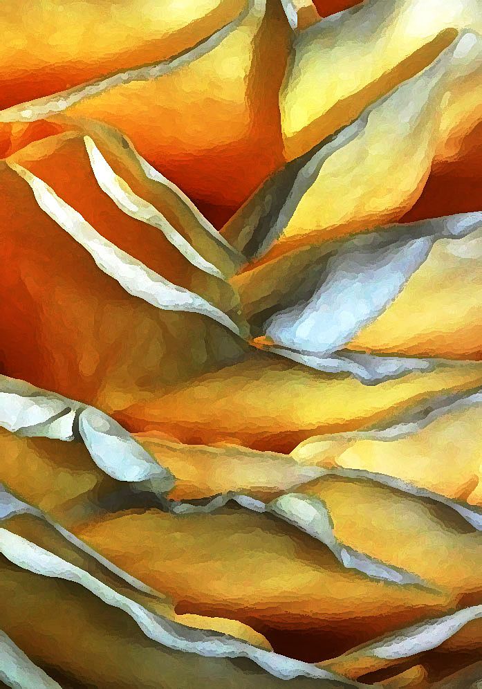 Photo of Abstract Rose 5"X7" Photo of Abstract Rose 5"X7"