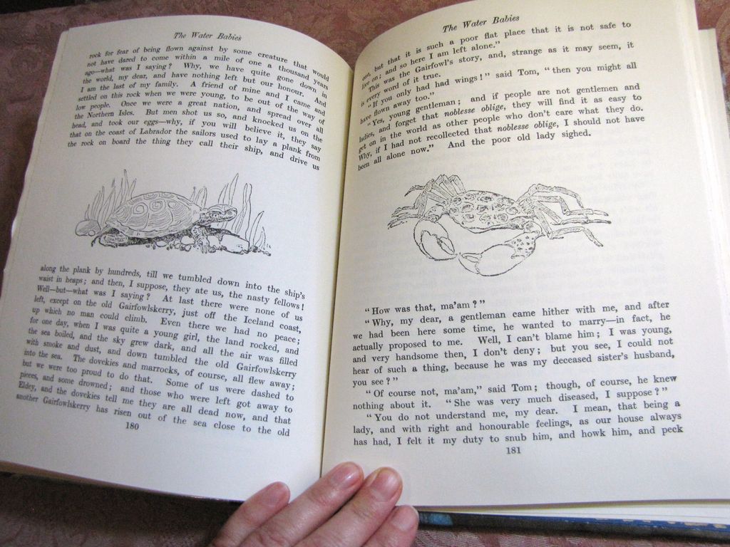 The Water Babies by Charles Kingsley, 1986 Hardback, Like New The Water Babies by Charles Kingsley, 1986 Hardback, Like New
