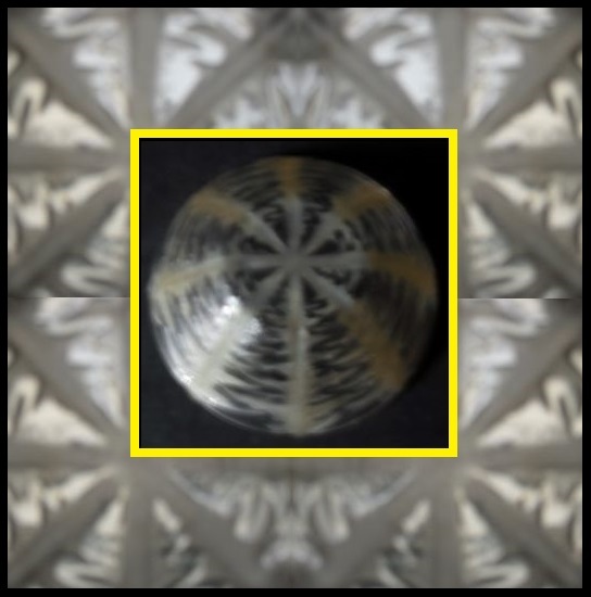 Rene Lalique Model 3104 Pissenlit Intaglio Moulded Glass Bowl c1921 Rene Lalique Model 3104 Pissenlit Intaglio Moulded Glass Bowl c1921