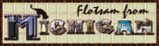 Flotsam from Michigan
