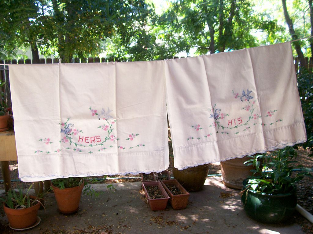 Delightful vintage Hand Embroidered Pillowcases Flowers and Blue Birds Delightful vintage Hand Embroidered Pillowcases Flowers and Blue Birds