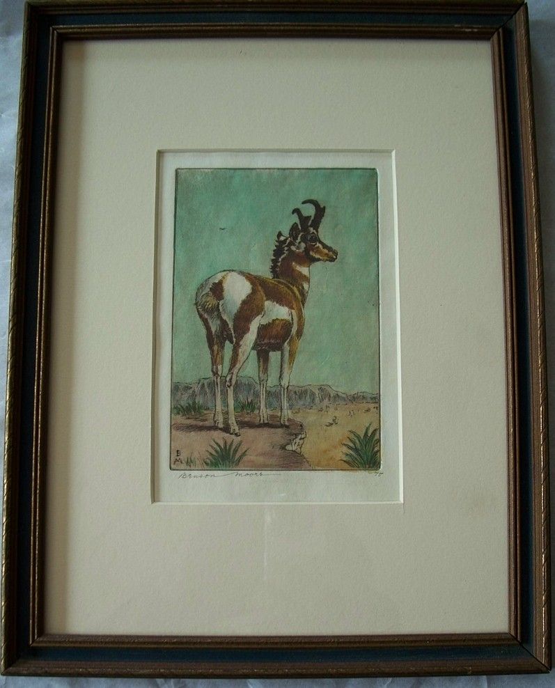 Pronghorn Antelope,Original etching,listed Pronghorn Antelope,Original etching,listed