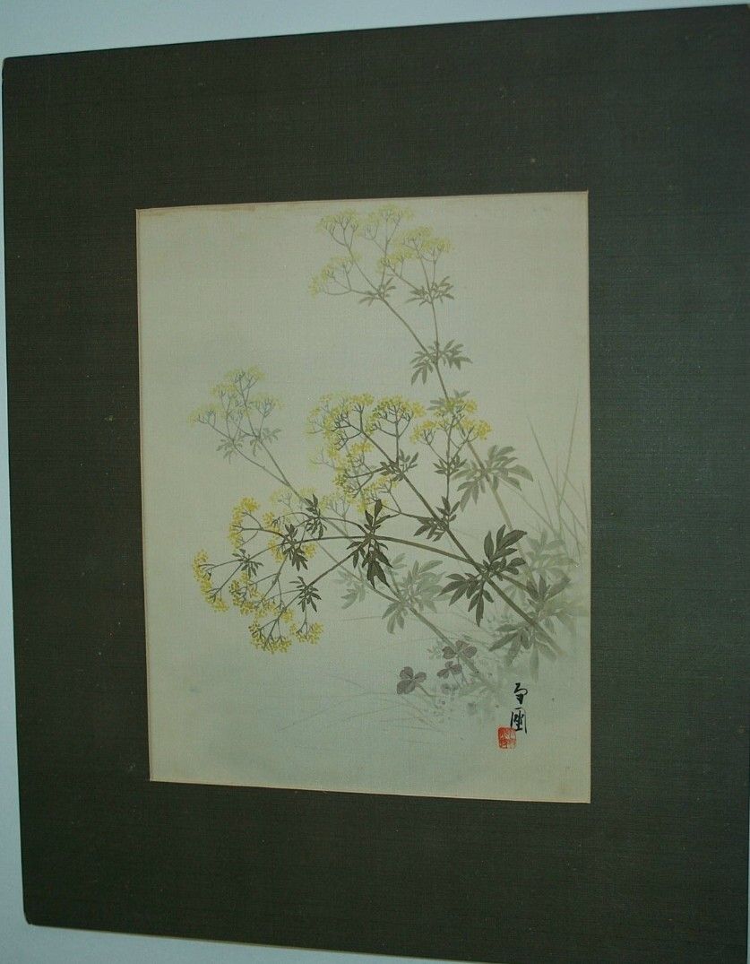 Mustard Plant Japanese print Vintage Mustard Plant Japanese print Vintage