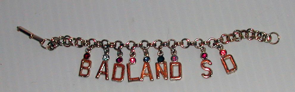 Vintage 1960s Badlands National Park Souvenir Charm Bracelet Vintage 1960s Badlands National Park Souvenir Charm Bracelet