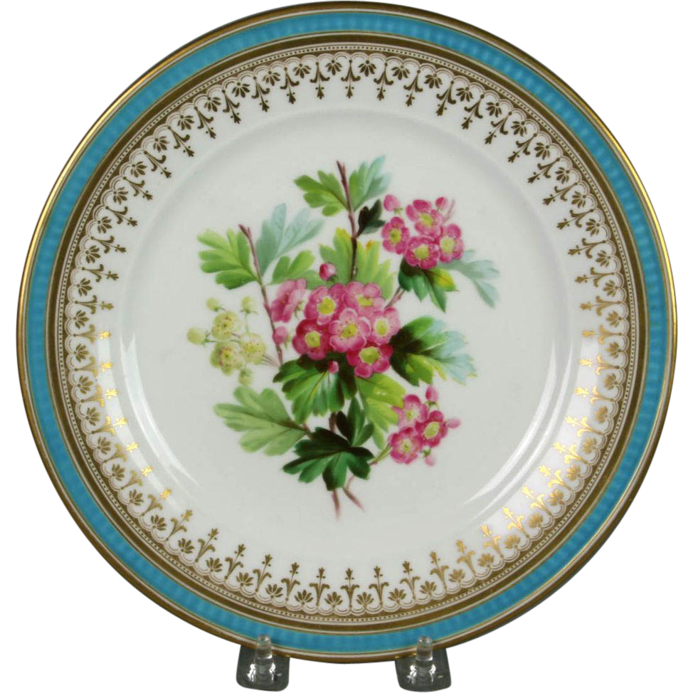 Hand painted porcelain, Plates, Pretty plates