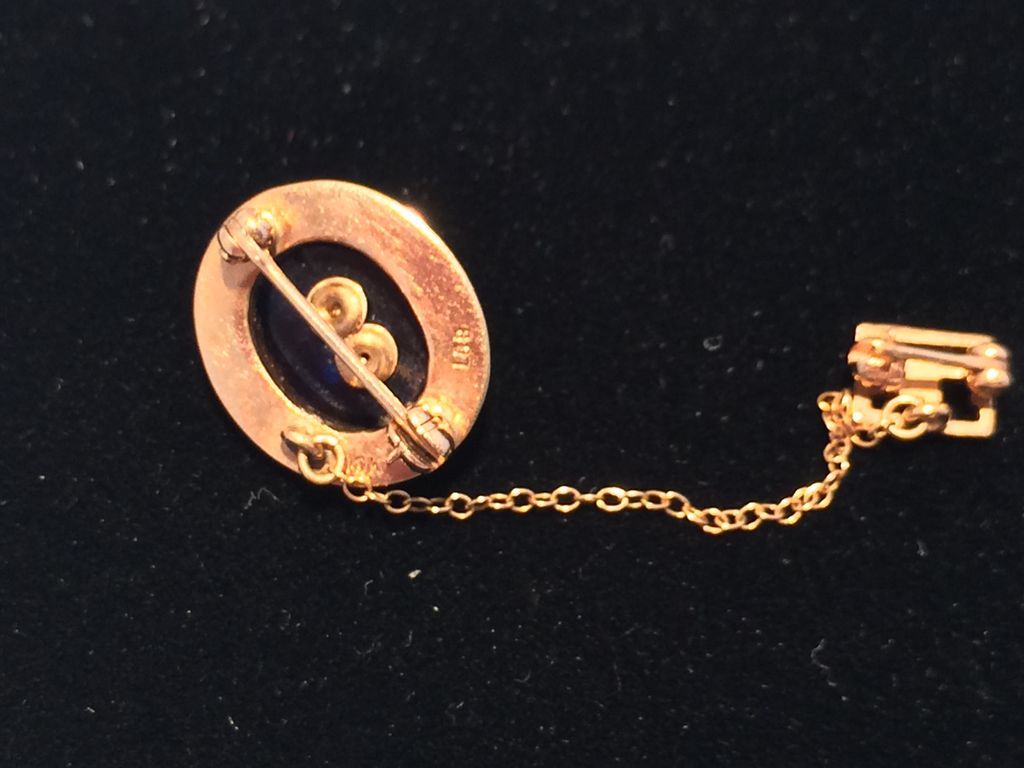 Vintage 10K Gold Arnot-Ogden School of Nursing Pin Vintage 10K Gold Arnot-Ogden School of Nursing Pin