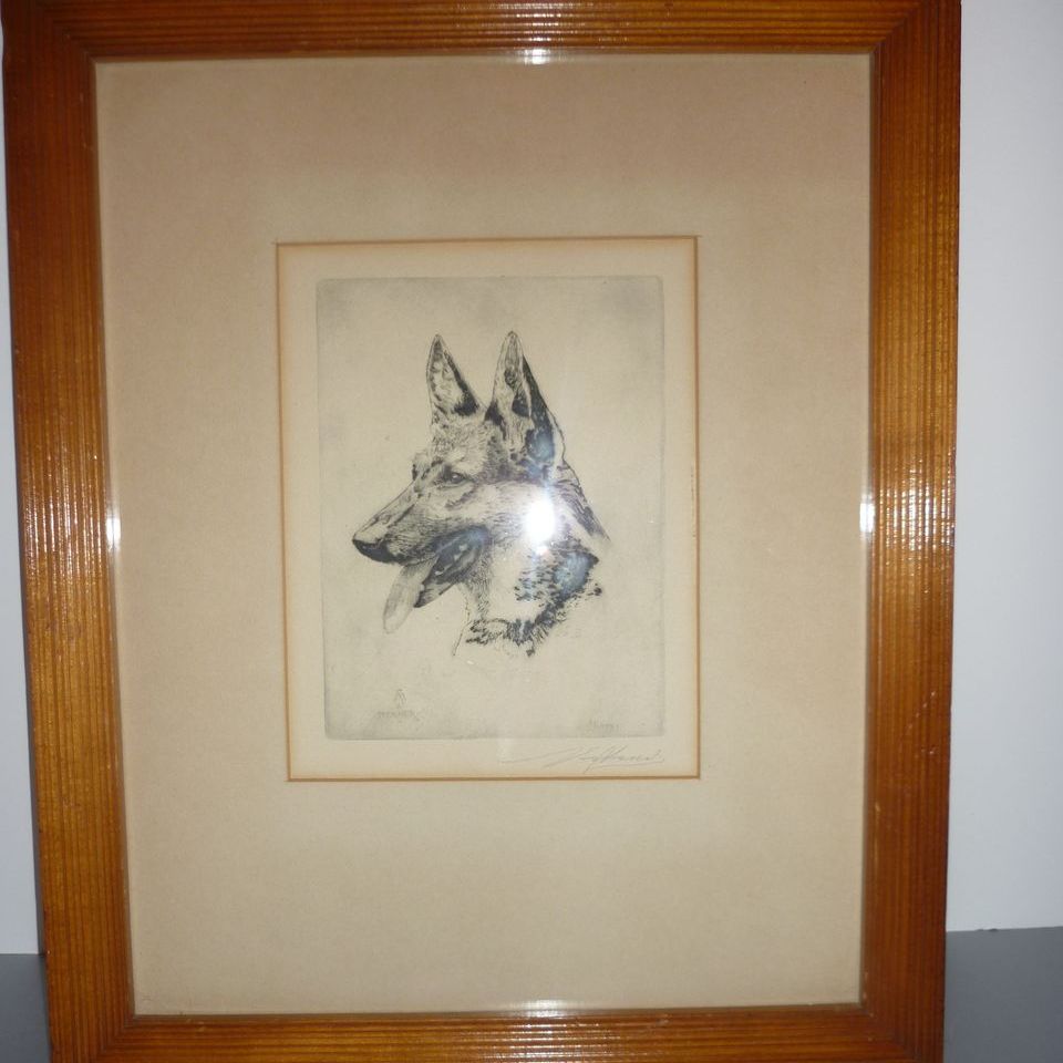 Albert Sterner Lithograph -KUNO- German Shepherd Albert Sterner Lithograph -KUNO- German Shepherd