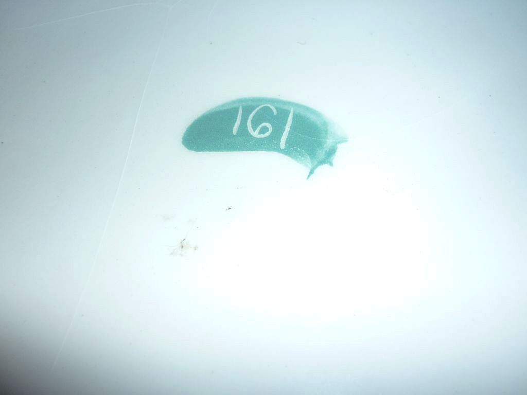 Matthew Adams ~Alaska Series-Cabin-Charger Plate~ Signed & Numbered Mid-Mod Piece Matthew Adams ~Alaska Series-Cabin-Charger Plate~ Signed & Numbered Mid-Mod Piece