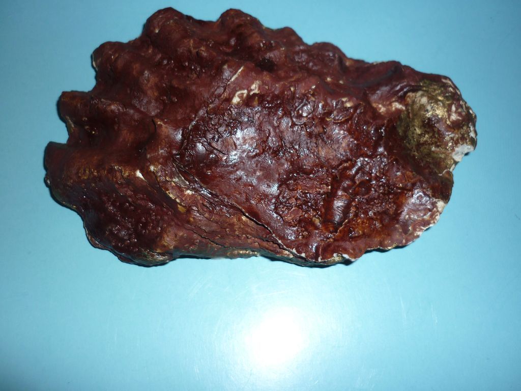 1950's ~Oyster Shell Painting~Nautical-Princess Of Nanaimo Ferry Boat -OOAK 1950's ~Oyster Shell Painting~Nautical-Princess Of Nanaimo Ferry Boat -OOAK