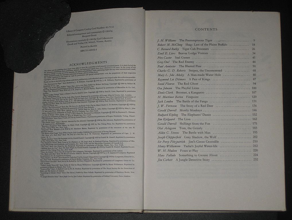 The Big Book of Wild Animals The Big Book of Wild Animals
