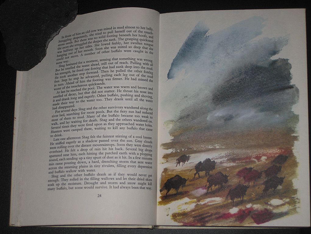 The Big Book of Wild Animals The Big Book of Wild Animals