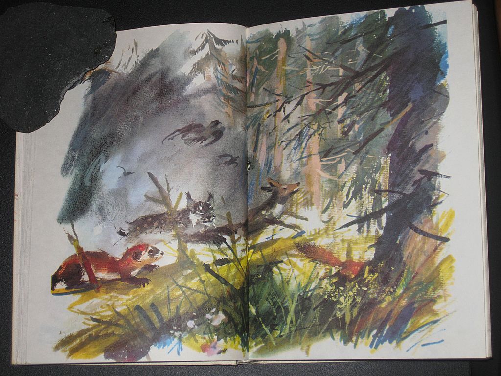 The Big Book of Wild Animals The Big Book of Wild Animals