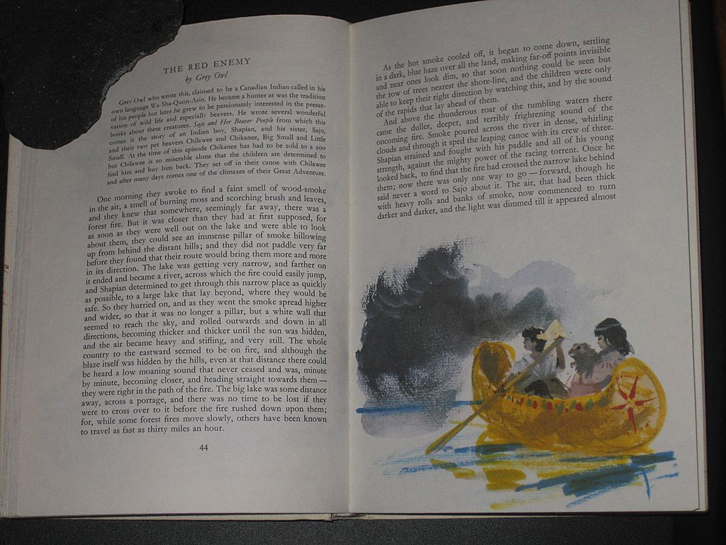The Big Book of Wild Animals The Big Book of Wild Animals