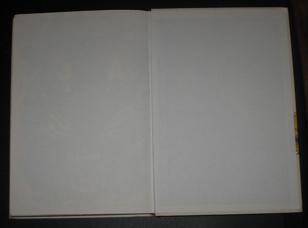The Big Book of Wild Animals The Big Book of Wild Animals