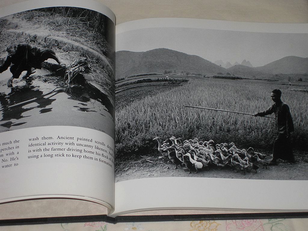 In The Year of the Tiger Written and Photographed by Bernard Wolf In The Year of the Tiger Written and Photographed by Bernard Wolf