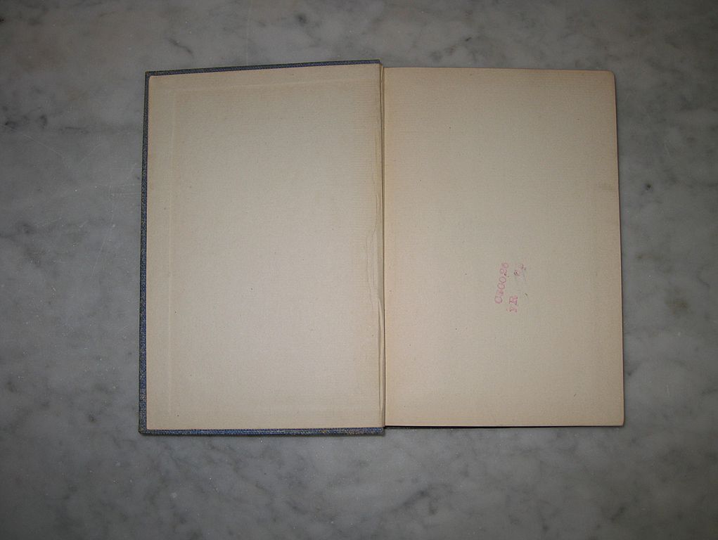 Songs from Dixie Land Rare 1900 Edition with Illustrations Songs from Dixie Land Rare 1900 Edition with Illustrations
