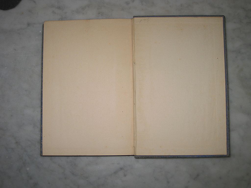 Songs from Dixie Land Rare 1900 Edition with Illustrations Songs from Dixie Land Rare 1900 Edition with Illustrations