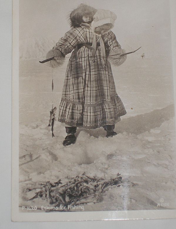 Alaska Photographic Post Card Unused from 60's Alaska Photographic Post Card Unused from 60's