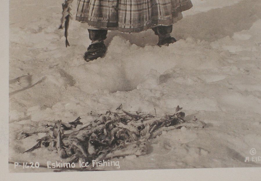 Alaska Photographic Post Card Unused from 60's Alaska Photographic Post Card Unused from 60's