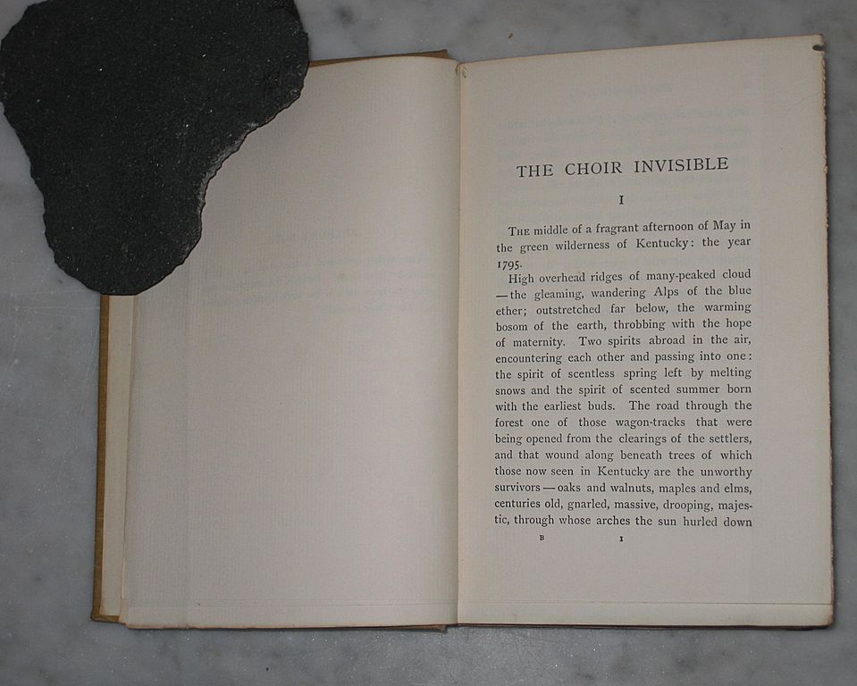 The Choir Invisible by James Lane Allen The Choir Invisible by James Lane Allen