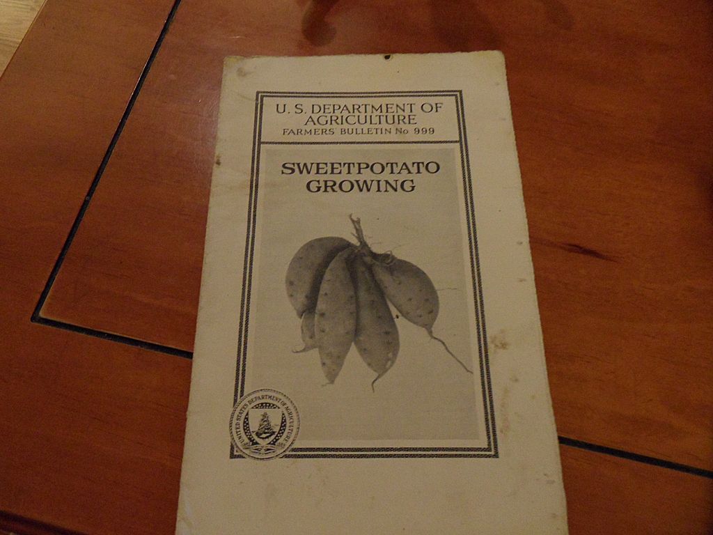 Vintage - "Sweetpotato Growing", US Dept of Agriculture, 1940 Vintage - "Sweetpotato Growing", US Dept of Agriculture, 1940