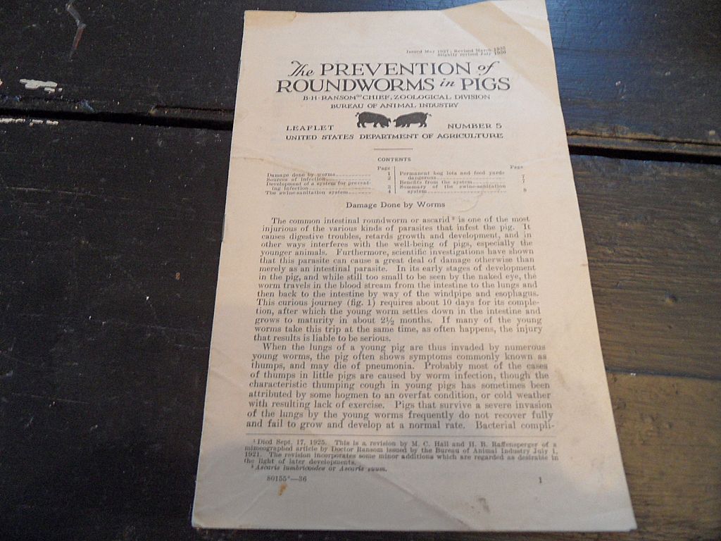Vintage - "The Prevention of Roundworms in Pigs", US Dept of Agriculture, 1936 Vintage - "The Prevention of Roundworms in Pigs", US Dept of Agriculture, 1936
