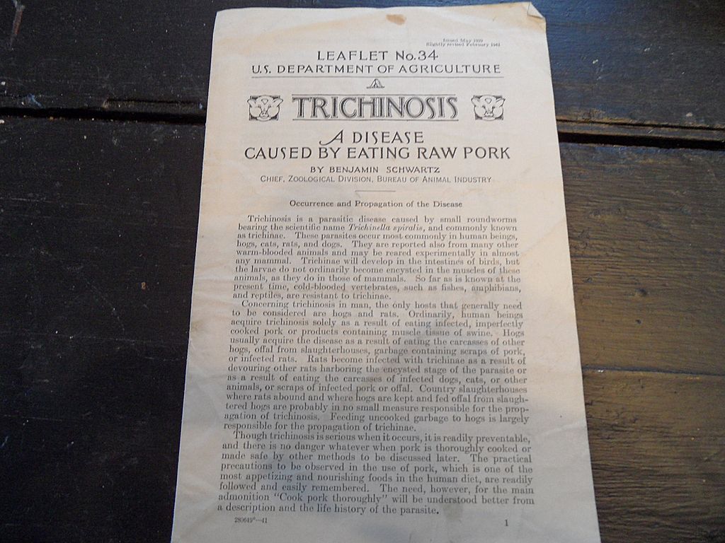 Vintage - "Trichinosis, A Disease Caused by Eating Raw Pork", US Dept of Agriculture, 1941 Vintage - "Trichinosis, A Disease Caused by Eating Raw Pork", US Dept of Agriculture, 1941