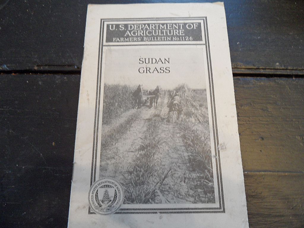 Vintage - "Sudan Grass", US Dept of Agriculture, 1941 Vintage - "Sudan Grass", US Dept of Agriculture, 1941