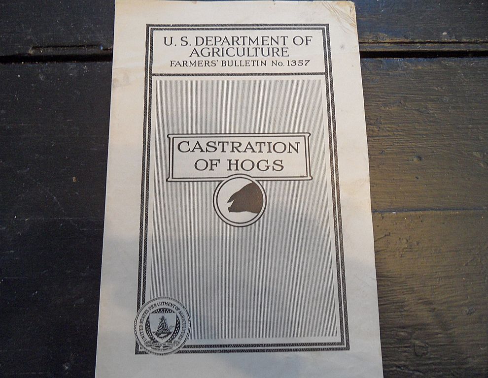 Vintage - "Castration of Hogs", US Dept of Agriculture, 1937 Vintage - "Castration of Hogs", US Dept of Agriculture, 1937