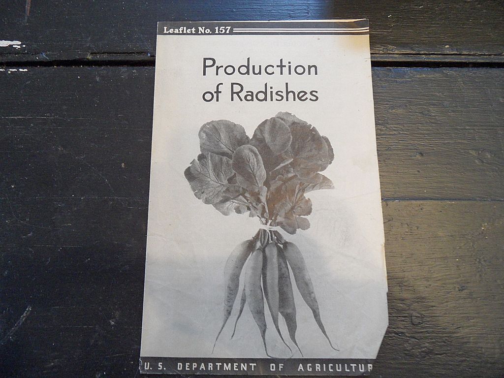 Vintage - "Production of Radishes", US Dept of Agriculture, 1938 Vintage - "Production of Radishes", US Dept of Agriculture, 1938