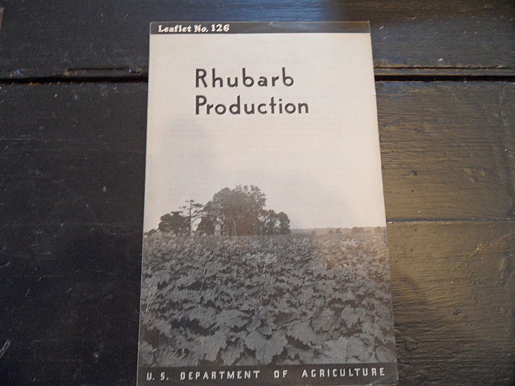 Vintage - "Rhubarb Production", US Dept of Agriculture, 1939 Vintage - "Rhubarb Production", US Dept of Agriculture, 1939