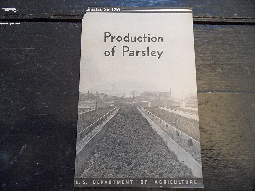 Vintage - "Production of Parsley", US Dept of Agriculture, 1938 Vintage - "Production of Parsley", US Dept of Agriculture, 1938