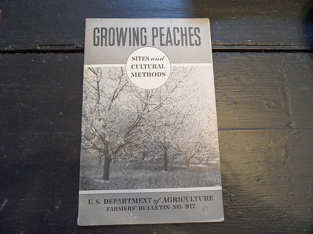 Vintage - "Growing Peaches, Sites and Cultural Methods", US Dept of Agriculture, 1936 Vintage - "Growing Peaches, Sites and Cultural Methods", US Dept of Agriculture, 1936
