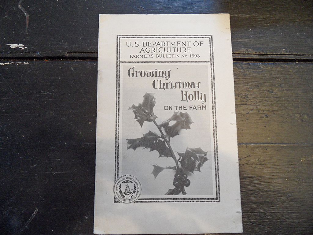 Vintage - "Growing Christmas Holly on the Farm", US Dept of Agriculture, 1940 Vintage - "Growing Christmas Holly on the Farm", US Dept of Agriculture, 1940